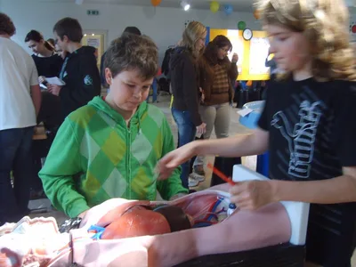 DOTÝKAT SE EXPONÁTŮ PŘIKÁZÁNO!, 19. 11. 2010