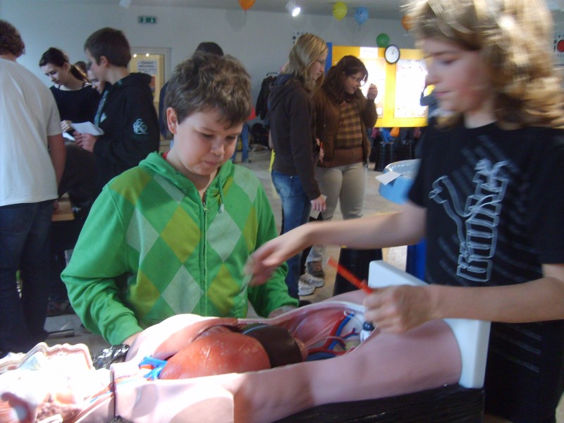 DOTÝKAT SE EXPONÁTŮ PŘIKÁZÁNO!, 19. 11. 2010