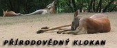 Přírodovědný klokan, 1. 11. 2010