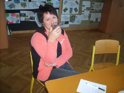 Školení pedagogických pracovníků, 7. 11. 2010
