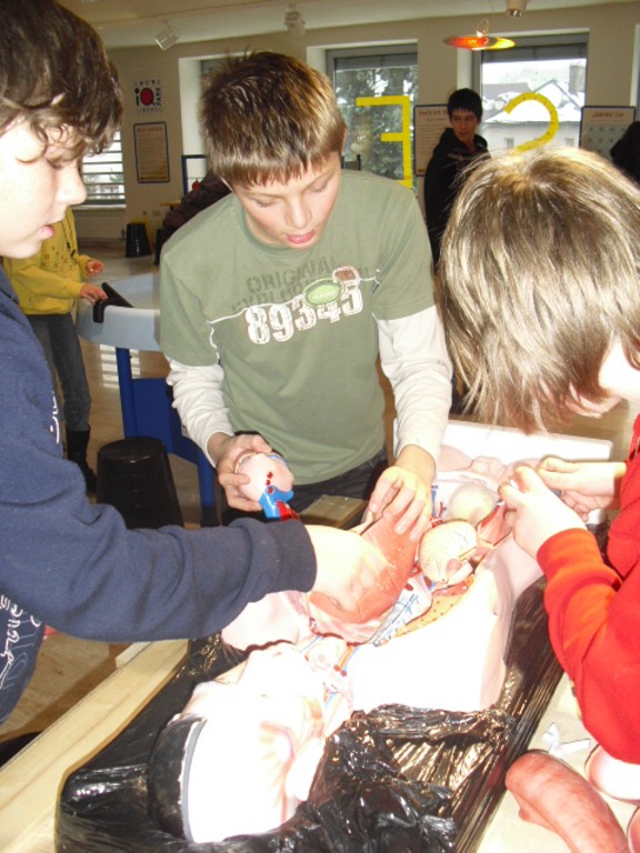 DOTÝKAT SE EXPONÁTŮ PŘIKÁZÁNO 2!, 8. 12. 2010