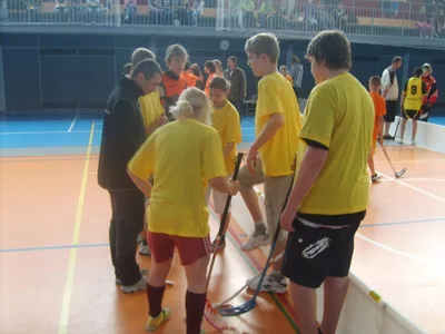 DĚTSKÁ   MAJÁLESOVÁ   OLYMPIÁDA   2011 - SBÍRKA   MEDAILÍ  KOMPLETNÍ, 15. 5. 2011