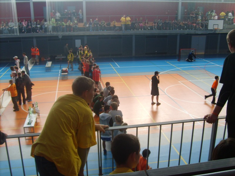 DĚTSKÁ   MAJÁLESOVÁ   OLYMPIÁDA   2011 - SBÍRKA   MEDAILÍ  KOMPLETNÍ, 15. 5. 2011
