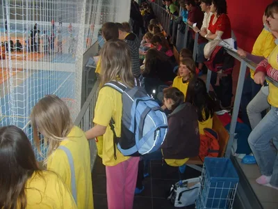 DĚTSKÁ   MAJÁLESOVÁ   OLYMPIÁDA   2011 - SBÍRKA   MEDAILÍ  KOMPLETNÍ, 15. 5. 2011