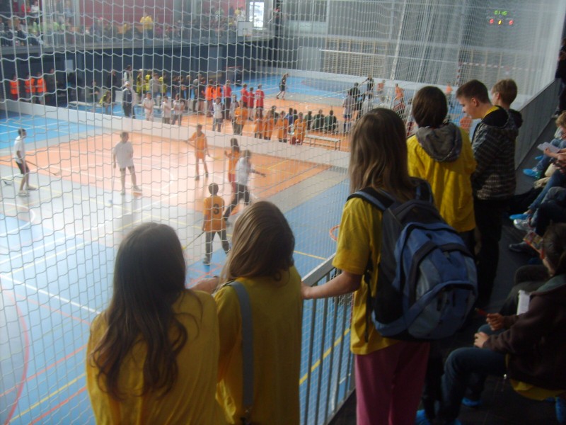 DĚTSKÁ   MAJÁLESOVÁ   OLYMPIÁDA   2011 - SBÍRKA   MEDAILÍ  KOMPLETNÍ, 15. 5. 2011