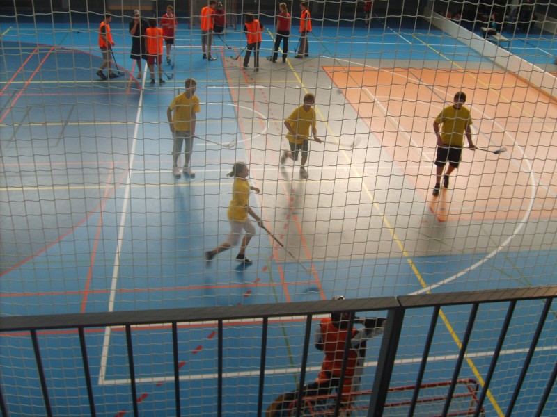 DĚTSKÁ   MAJÁLESOVÁ   OLYMPIÁDA   2011 - SBÍRKA   MEDAILÍ  KOMPLETNÍ, 15. 5. 2011