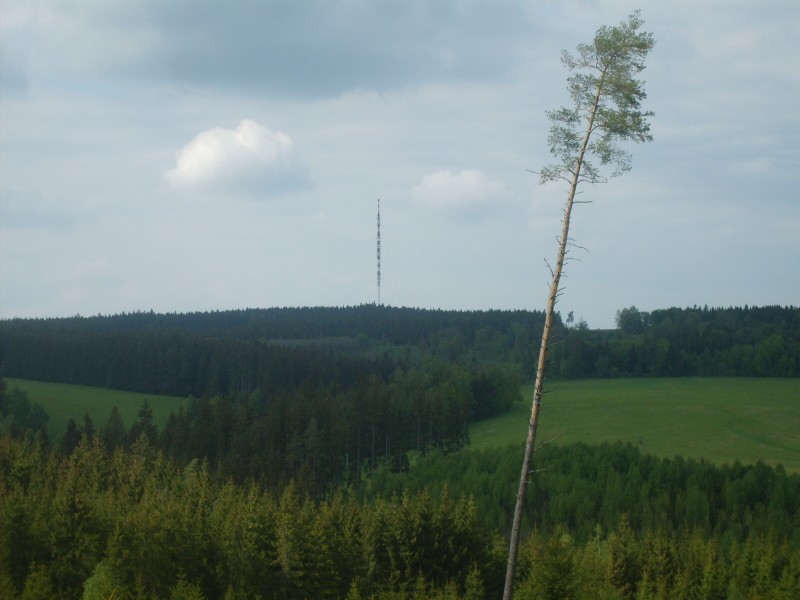 ŠKOLA V PŘÍRODĚ – HORNÍ BRADLO 16.5. – 20.5.2011, 31. 5. 2011