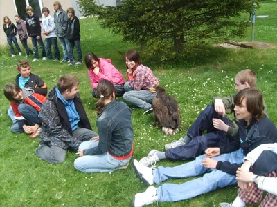 Ukázka výcviku dravců, 15. 5. 2011