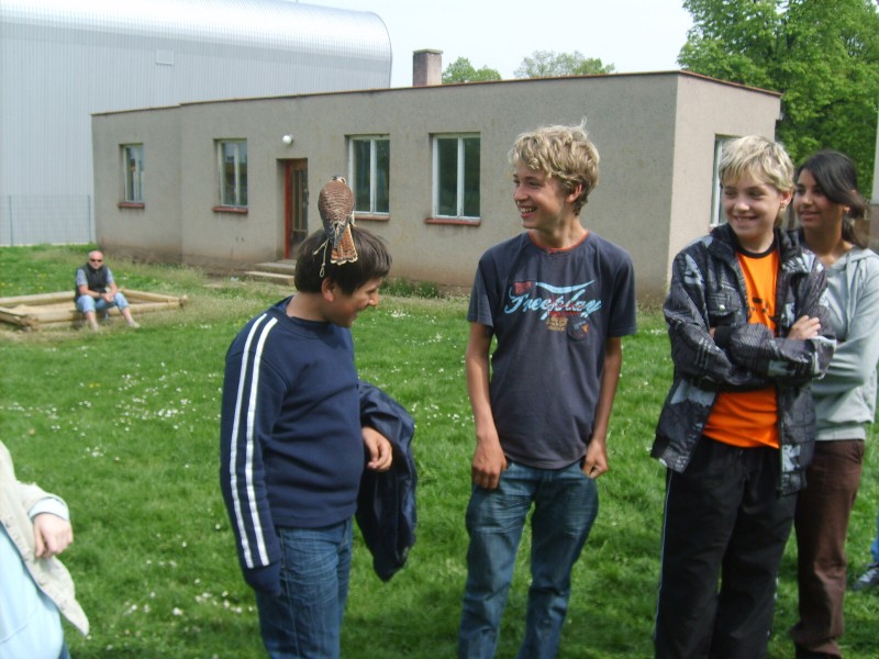 Ukázka výcviku dravců, 15. 5. 2011