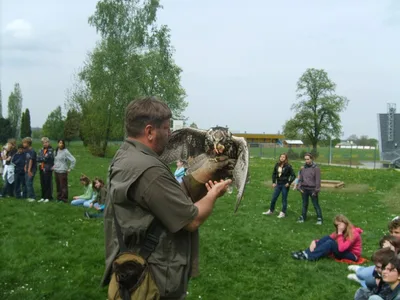 Ukázka výcviku dravců, 15. 5. 2011