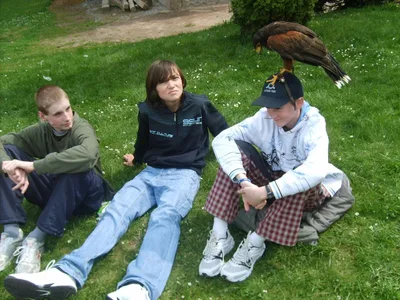 Ukázka výcviku dravců, 15. 5. 2011