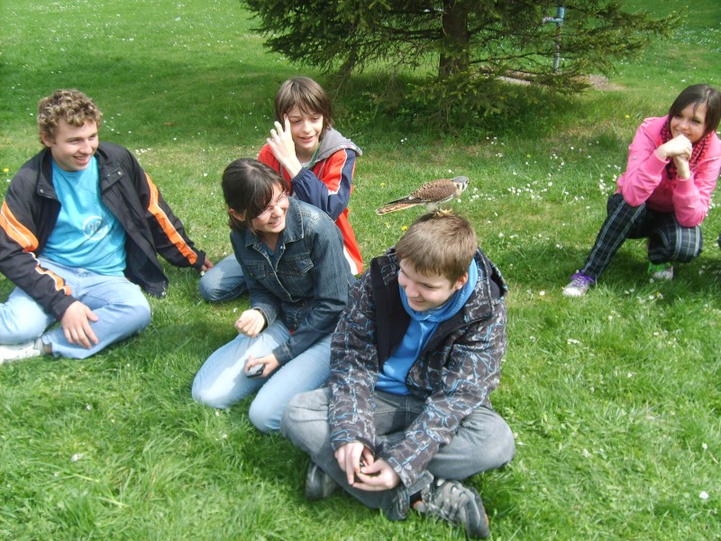 Ukázka výcviku dravců, 15. 5. 2011