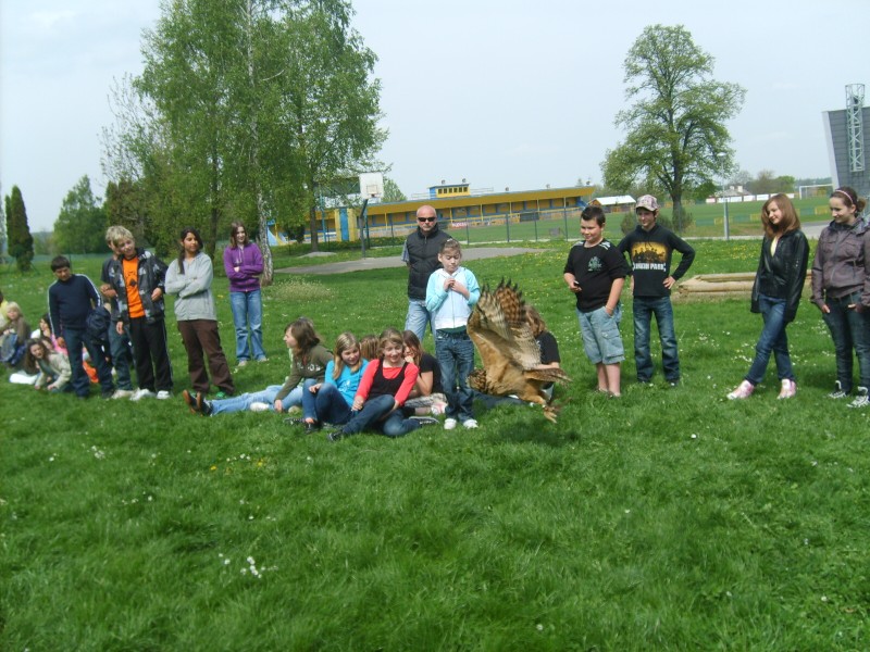 Ukázka výcviku dravců, 15. 5. 2011