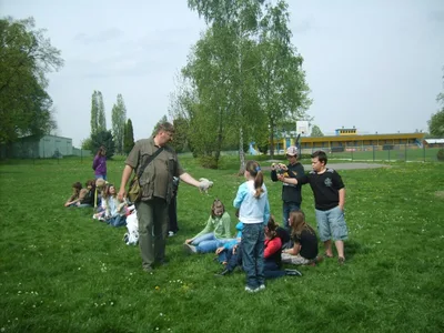 Ukázka výcviku dravců, 15. 5. 2011