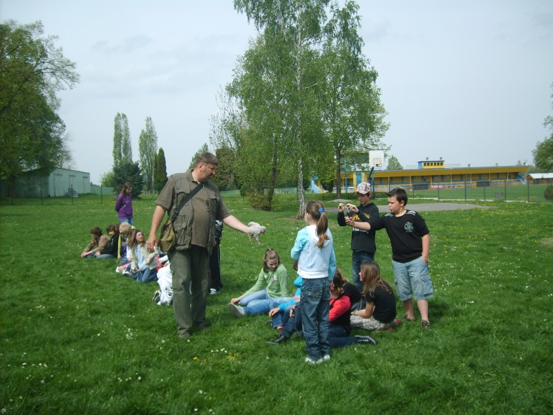 Ukázka výcviku dravců, 15. 5. 2011