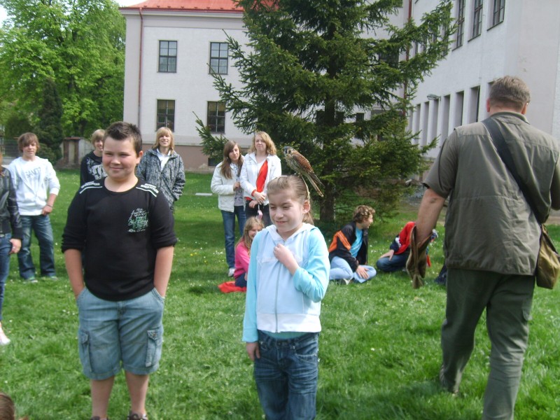 Ukázka výcviku dravců, 15. 5. 2011