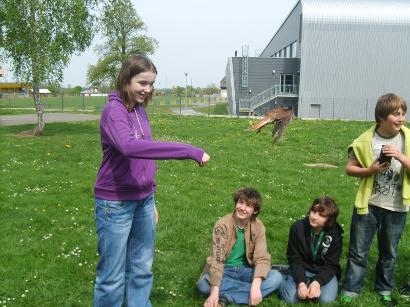 Ukázka výcviku dravců, 15. 5. 2011