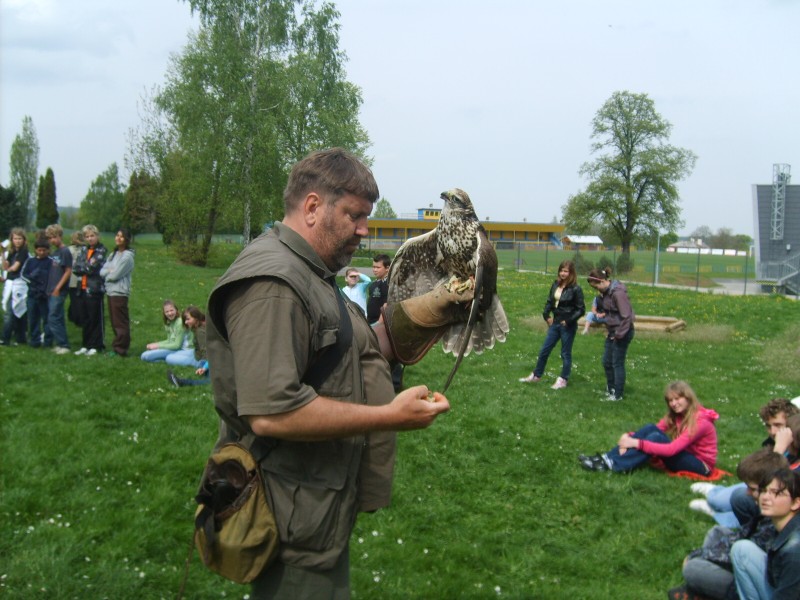 Ukázka výcviku dravců, 15. 5. 2011