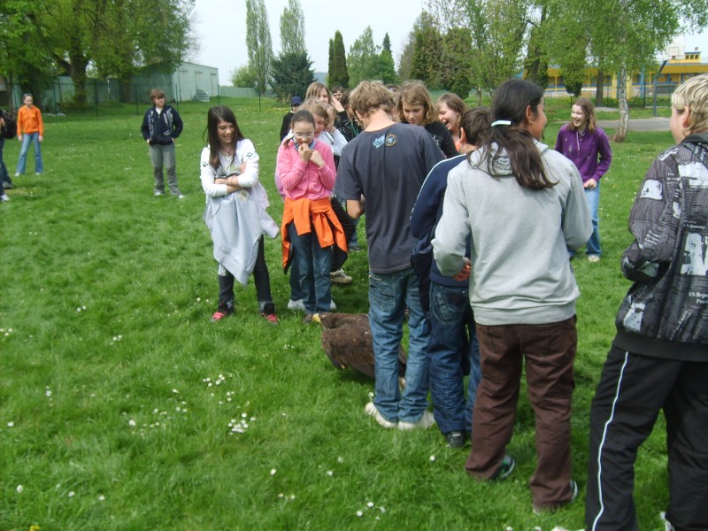 Ukázka výcviku dravců, 15. 5. 2011