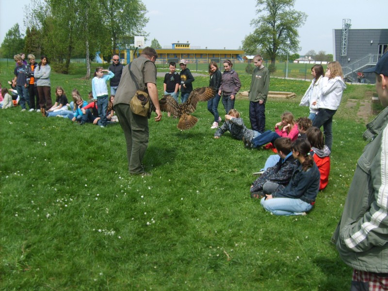 Ukázka výcviku dravců, 15. 5. 2011
