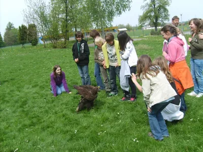 Ukázka výcviku dravců, 15. 5. 2011