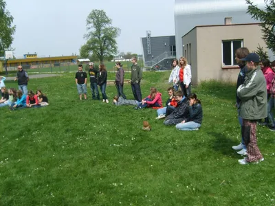 Ukázka výcviku dravců, 15. 5. 2011
