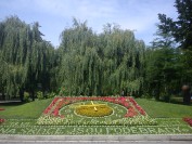 Volba povolání na ZŠ Komenského, 28. 6. 2011