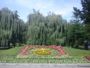 Volba povolání na ZŠ Komenského, 28. 6. 2011