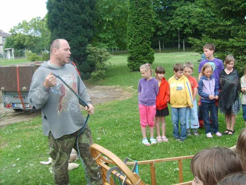 Malamut – velký  pes, 15. 7. 2011