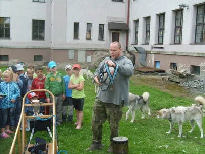 Malamut – velký  pes, 15. 7. 2011