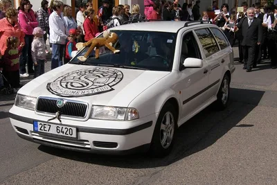 100 let školy