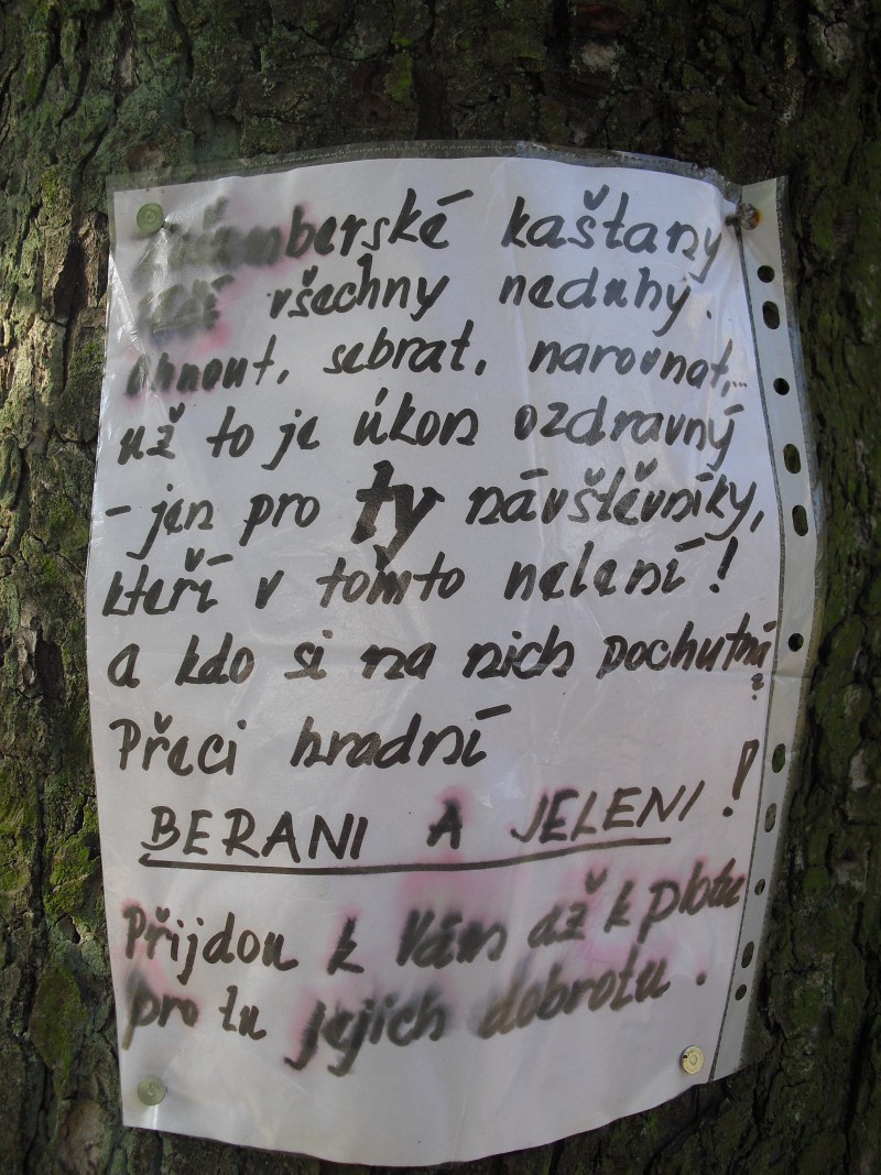 Ekologická vycházka, 2. 12. 2011