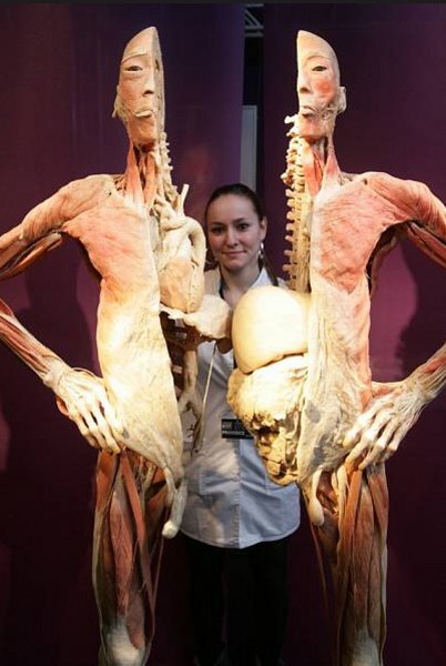 THE HUMAN BODY EXIBITION, 24. 4. 2012