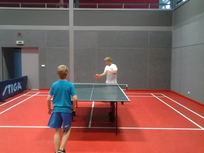 Badminton a Ping-pong, 29. 6. 2012