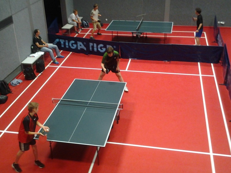 Badminton a Ping-pong, 29. 6. 2012