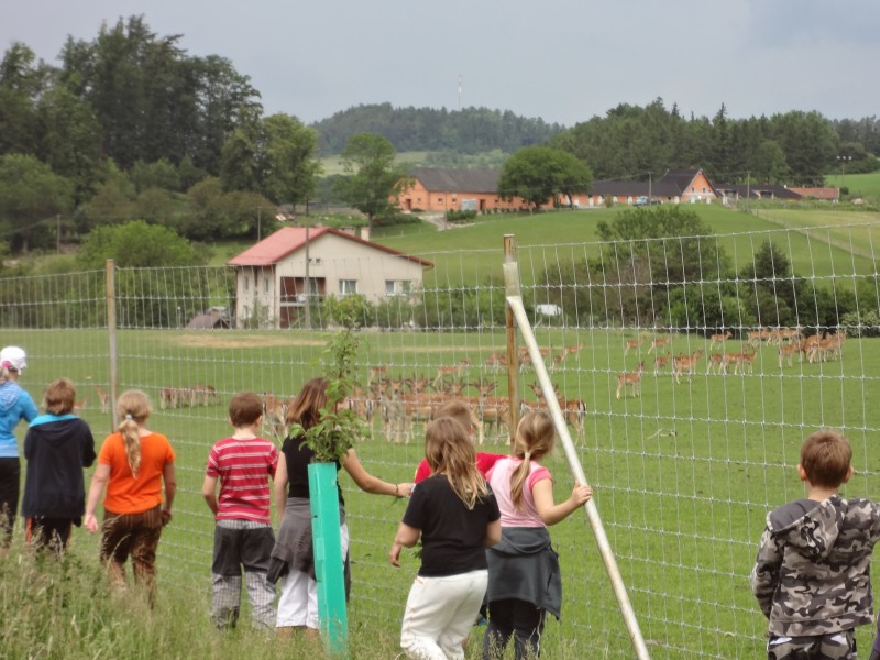 Toulovcovy maštale, 29. 6. 2012