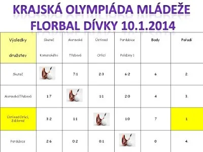 Finále krajské olympiády mládeže ve florbalu dívek, 13. 1. 2013