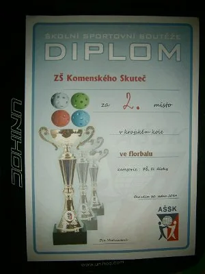 Finále krajské olympiády mládeže ve florbalu dívek, 13. 1. 2013