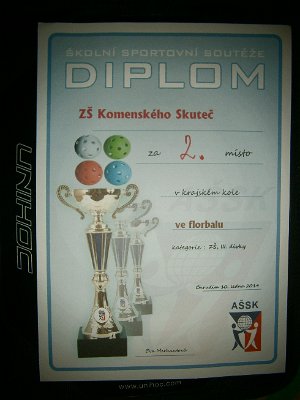 Finále krajské olympiády mládeže ve florbalu dívek, 13. 1. 2013