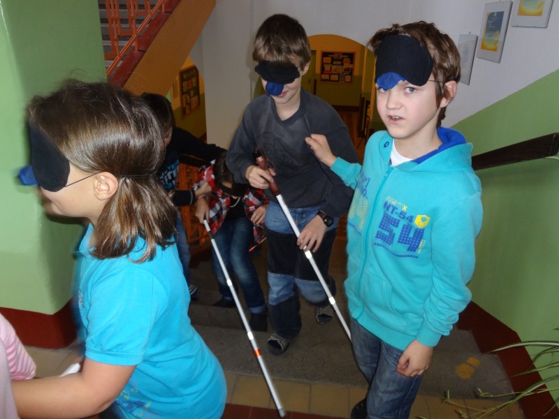 TyfloCentrum Pardubice, 23. 1. 2013