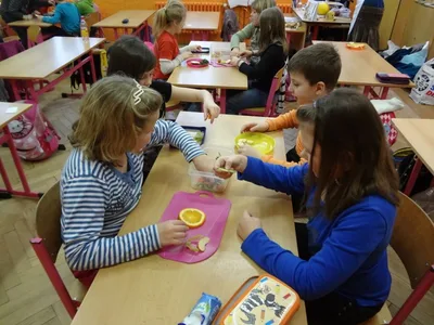 Zdravá Pětka, 3. 1. 2013