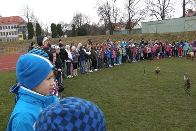 Dravci, 28. 4. 2013