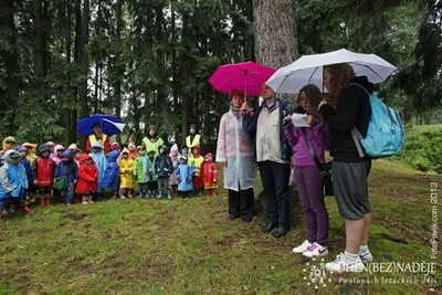 Oheň (bez)naděje, 30. 6. 2013