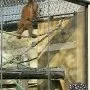 Exkurze 6. a 7. tříd do ZOO Dvůr Králové, 11. 9. 2013