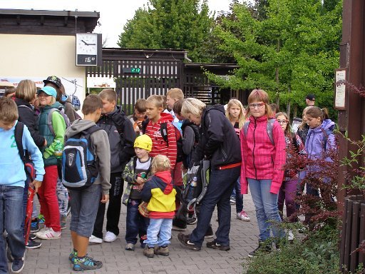 Exkurze 6. a 7. tříd do ZOO Dvůr Králové, 11. 9. 2013