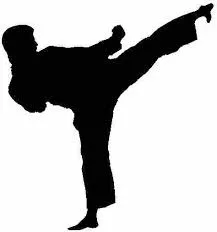 Oddíl karate přijímá nové členy, 1. 9. 2013