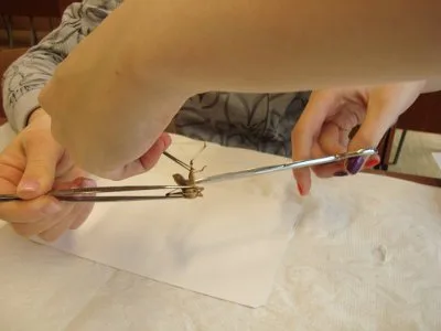 Žáci devátého ročníku opět navštívili SPŠCH v Pardubicích, 18. 3. 2014