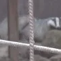 Výlet do Pasíček, 12. 4. 2014