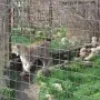 Výlet do Pasíček, 12. 4. 2014