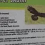 Výlet do Pasíček, 12. 4. 2014